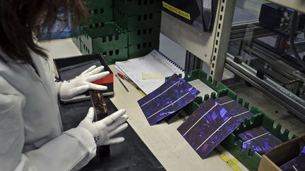 Une technicienne de l'entreprise Photowatt, &agrave; Bourgoin-Jallieu (Is&egrave;re), le 16 janvier 2012. (JEAN-PHILIPPE KSIAZEK / AFP)