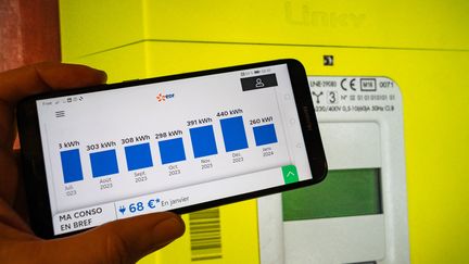 Un diagramme indiquant la consommation d'un client EDF s'affiche sur un smartphone, le 22 janvier 2024. (JEAN-MARC BARRERE / HANS LUCAS / AFP)