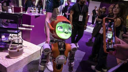 A robot is presented during the seventh edition of the Viva Tech show in Paris, June 14, 2023. (LAURE BOYER / HANS LUCAS / AFP)