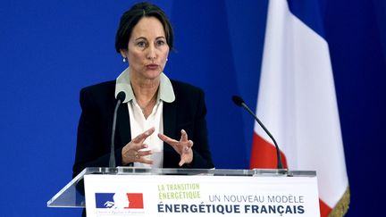 La ministre de l'Ecologie, S&eacute;gol&egrave;ne Royal, le 18 juin 2014 &agrave; Paris. (STEPHANE DE SAKUTIN / AFP)