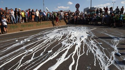 Des agriculteurs jettent des briques de lait pour protester contre les prix du lait, le 23 juillet 2015 &agrave; Lyon (Rh&ocirc;ne). (PHILIPPE DESMAZES / AFP)