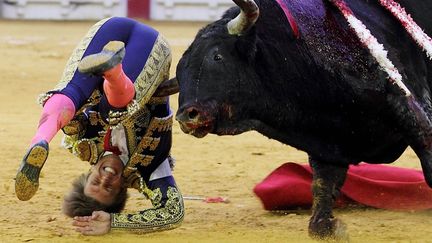 Le matador espagnol&nbsp;El Cordobes est touch&eacute; par un taureau pendant une corrida &agrave; Saragosse (Espagne), le 12 octobre 2013. (ALBERTO SIMON / AFP)