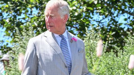 Le prince Charles au jardin botanique du Pays de Galles, le 3 juillet 2019 (REX/SIPA / SHUTTERSTOCK)