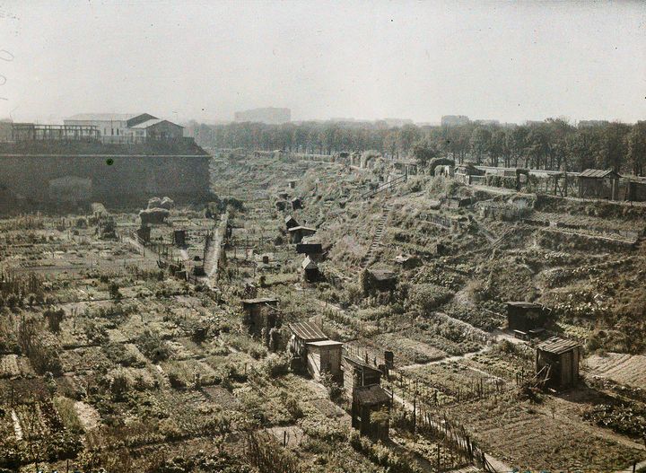 Auguste Léon, Jardins ouvriers au pied des fortifications, porte de Clichy, 25 septembre 1929 (© Département des Hauts-de-Seine, Musée départemental Albert Kahn, Collection des archives de la Planète)