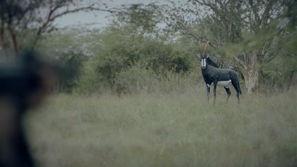 Havemos de Voltar (We Shall Return), [Film Still], 2017 de Kiluanji Kia Henda  (A COURTESY OF THE ARTIST AND JAHMEK - CONTEMPORARY ART, LUANDA.)