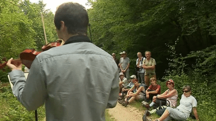 Le Festival des Forêts de Laigue et de Compiègne propose des randonnées musicales.
 (Culturebox - capture d&#039;écran)