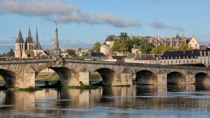 Comme le disent ses habitants : le personnage principal de la ville de Blois c'est la Loire! (LEPISSIER DANIEL)