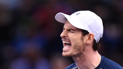 La rage de vaincre d'Andy Murray. (FRANCK FIFE / AFP)