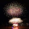 Le feu d'artifice tiré à Bordeaux (Gironde) le 14 juillet 2023. (JEAN MAURICE CHACUN / MAXPPP SUD-OUEST)