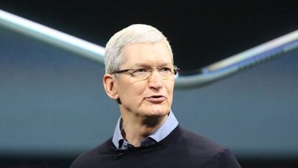 Tim Cook, le PDG d'Apple a rappelé que son fondateur charismatique, Steve Jobs, était lui même fils d’un immigré syrien&nbsp; (CHRISTOPH DERNBACH / DPA)