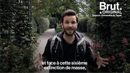 Auteur du livre "Ça commence par moi", Julien Vidal nous dévoile quelques actions simples pour freiner l'érosion de nos écosystèmes.