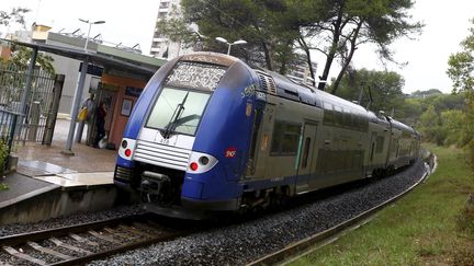 Un TER en gare de Ranguin, à Cannes, le 6&nbsp;novembre 2016. (MAXPPP)