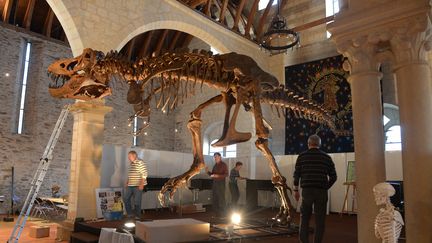 Stan le T-Rex exposé à Angers en 2013.&nbsp; (CLAIR JOSSELIN / MAXPPP)