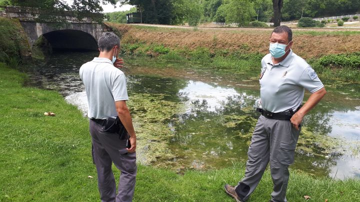 Vincent Jarnot et&nbsp;Pascal Malassagne de l'Office français de la biodiversité surveille le niveau de l'eau de la rivière en pleine sécheresse. (BENJAMIN MATHIEU / FRANCEINFO / RADIO FRANCE)