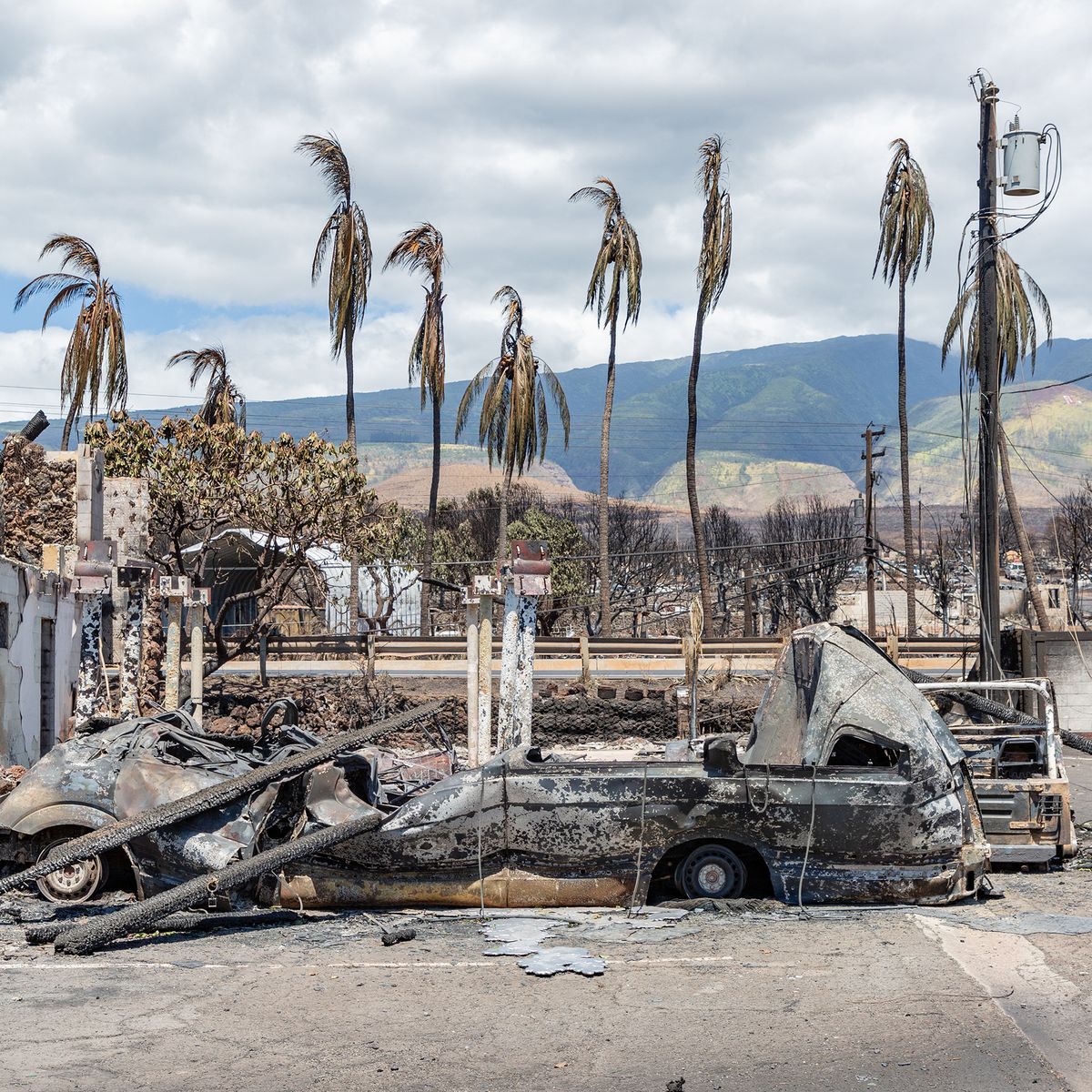 LOIS SUR LES ARMES À HAWAII – Hawaï – Actualités, Affaires, Immobilier,  Annonces gratuites