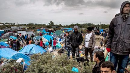 Migrants sur le site de la «nouvelle jungle» à Calais le 21 septembre 2015