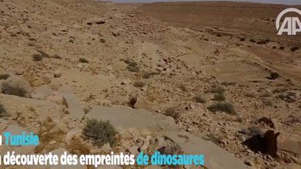 Empreinte de dinosaure en Tunisie (capture écran de la vidéo diffusée par l'agence Anadolu). (Anadolu)