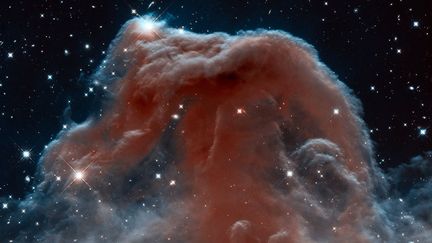 La nébuleuse de la Tête de Cheval, officiellement connue sous le nom de Barnard 33, photographiée par Hubble le 19 avril 2013. (NASA / ESA / HUBBLE / AFP)