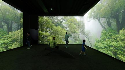 Vue de ma forêt tropicale de la Montagne de Kaw, en Guyane, dans le parcours "Odyssée sensorielle" au Museum national d'histoire naturelle (Paris). (MARDI8 / SENSORY ODYSSEY / MNHN)