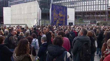 Dimanche 19 novembre, plusieurs milliers de personnes ont défilé dans le calme, à Paris, lors d'une marche pour la paix au Proche-Orient. De nombreux artistes étaient présents. (FRANCEINFO)