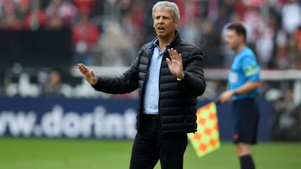 L'entraîneur de Nice Lucien Favre (PATRIK STOLLARZ / AFP)