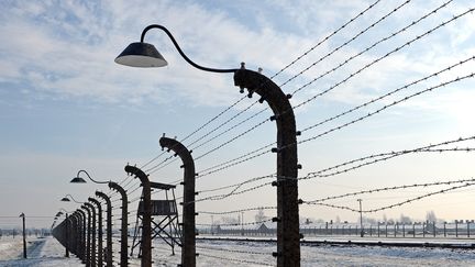 Des fils barbel&eacute;s d'&eacute;poque entourent toujours l'ancien camp de concentration d'Auschwitz-Birkenau (Pologne), le 27 janvier 2014. (JANEK SKARZYNSKI / AFP)