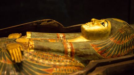 Le sarcophage de la reine Henuttawy, fille de Ramsès II, au musée du Louvre d'Abou Dabi, aux Emirats arabes unis. (STEPHANE FRANCES / ONLY WORLD)