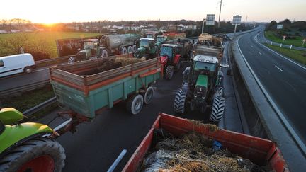 Des agriculteurs bloquent une route pr&egrave;s de La Rochelle (Charente-Maritime) pour protester contre la baisse des prix, le 25 janvier 2016. (XAVIER LEOTY / AFP)