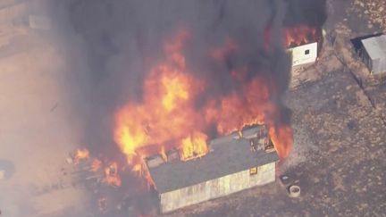 Des milliers d'hectares ont été détruits depuis samedi 15 juin dans la campagne de Los Angeles, en Californie (États-Unis). Un incendie renforcé par sécheresse menace les environs.