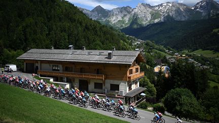 Le peloton grimpe lors de la huitième étape de la 74e édition du Criterium du Dauphine, reliant Saint-Alban-Leysse (Savoie) et le Plateau de Solaison (Haute-Savoie), le 12 juin 2022. (Marco BERTORELLO / AFP)