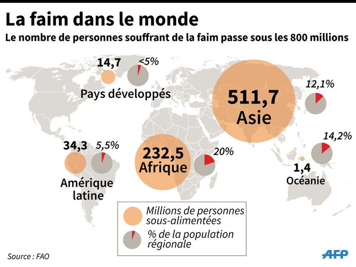 Carte du monde avec le nombre de personnes sous-alimentées  (FH/ABM, P.DERE/J.JACOBSEN / AFP)