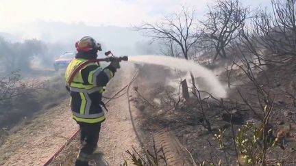 Incendie dans les Alpilles : le feu a été maîtrisé (France 3)