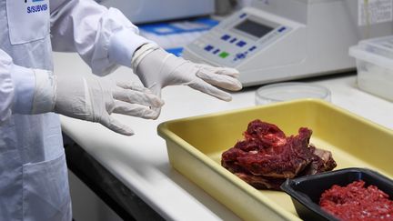 Au Brésil, des tests sur de la viande saisie à Rio, après le démantèlement d'un vaste réseau de commercialisation de viande avariée (VANDERLEI ALMEIDA / AFP)