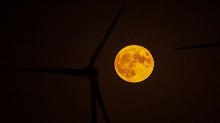 Une éolienne prend "en grippe" la "super lune"&nbsp;à Pannec (Loire-Atlantique). (ESTELLE RUIZ / HANS LUCAS / AFP)