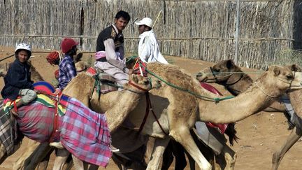 Ras al-Khaima (Emirats Arabes Unis), le 28 décembre 2004. Enfants jockeys de retour d'un entraînement matinal avec leur entraîneur.

 (REUTERS/Anwar Mirza AM/KS)