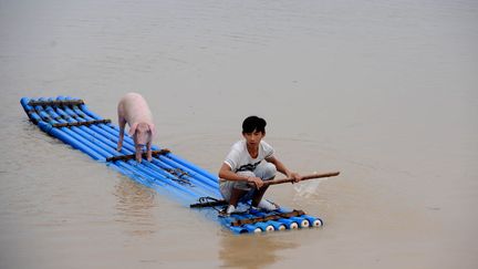 Un homme et son cochon se d&eacute;placent sur un radeau de fortune apr&egrave;s les violentes pluies qui ont inond&eacute;es la r&eacute;gion de Lishui (Chine), le 20 ao&ucirc;t 2014. (AFP)