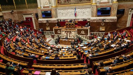 L'Assemblée nationale, en mars 2021. (AURELIEN MORISSARD / MAXPPP)