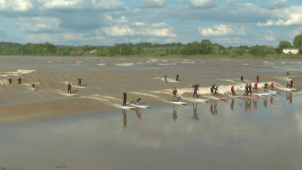 Gironde : grâce au mascaret, les surfeurs apprécient les plaisirs de la glisse sur un fleuve (France 2)