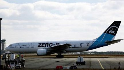 Sur l'aéroport de Bordeaux le 15 mars 2013  (AFP - Mehdi Fedouach)