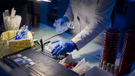 Un biologiste travaille dans un laboratoire sur un prélèvement, le 25 novembre 2020, à Paris.&nbsp; (NATHAN LAINE / HANS LUCAS / AFP)