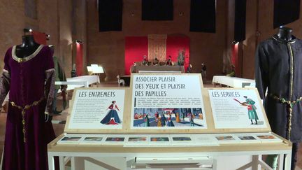 Exposition Le festin de Fébus à Toulouse (France 3 Midi-Pyrénées)