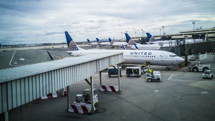 Des avions de la compagnie aérienne United Airlines à l'aéroport Newark Liberty International, le 16 octobre 2017.&nbsp; (MANUEL ROMANO / NURPHOTO / AFP)