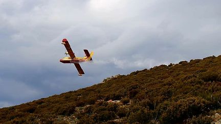 Les Canadairs&nbsp;en action à Bastelica. (SDIS 2A)