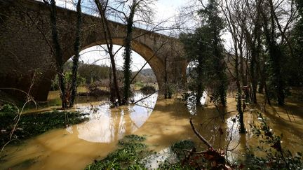 Le Gardon sort de son lit, au niveau du hameau de Russan (Gard), le 10 mars 2024. (CLEMENT MAHOUDEAU / AFP)