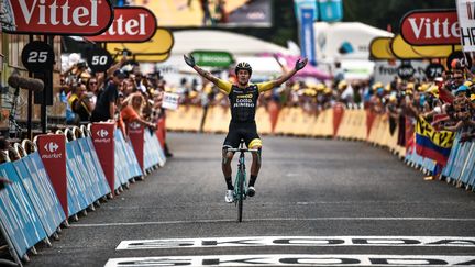 Le coureur slovène Primoz Roglic remporte&nbsp;la 19e étape du Tour de France, le 27 juillet 2018 à Laruns (Pyrénées-Atlantiques).&nbsp; (MARCO BERTORELLO / AFP)