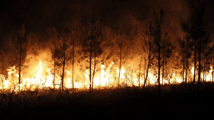 L'été 2022 avait été marqué par de nombreux départs de feu. Des dispositions ont été prises pour mieux combattre les flammes cette année, mais les pompiers redoutent de nouvelles difficultés et sont déjà confrontés à des incendies, comme en Dordogne, mardi 2 mai. (franceinfo)