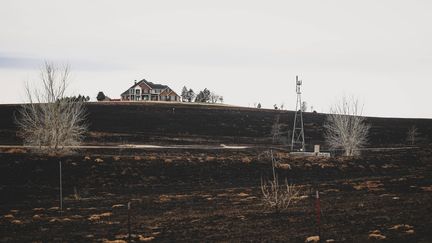 Si l'incendie de Smokehouse Creek continue de faire rage et s'attaque désormais à l'Oklahoma, un Etat voisin, il a épargné certaines maisons, comme ici, à Canadian (Texas), le 29 février 2024. (DAVID ERICKSON / AP / SIPA)