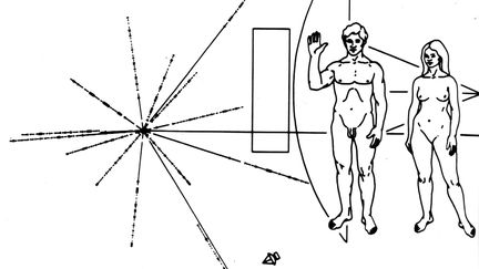 Aper&ccedil;u de l'illustration plac&eacute;e dans les sondes&nbsp;Pioneer 10 et 11.&nbsp;L'image &eacute;tait destin&eacute;e &agrave; d'&eacute;ventuels extraterrestres intelligents. Elle repr&eacute;sente un homme et une femme nus, et plusieurs symboles qui renseignent sur l'origine des sondes. (AP / SIPA)