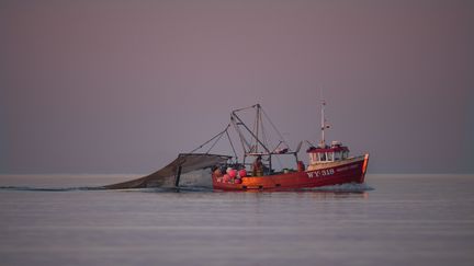 Pêche en eaux britanniques (illustration). (ERNIE JANES / MAXPPP)