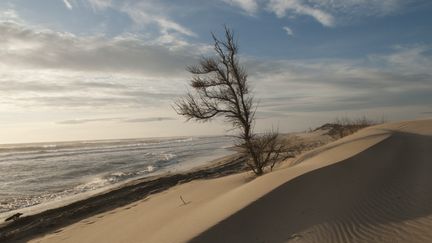 La Petite Camargue, un endroit forgé par l'Histoire